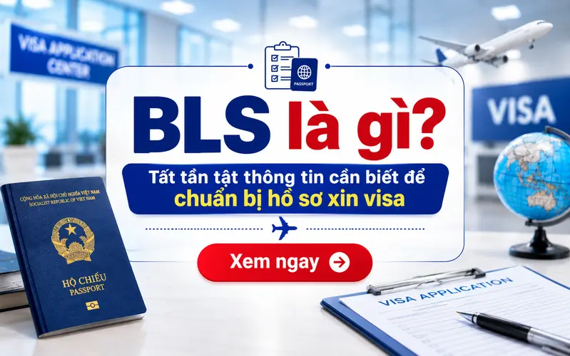 BLS là gì