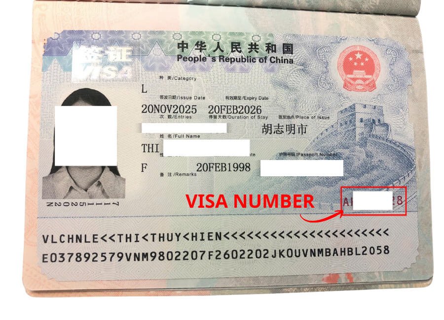 Bạn cần nhập chính xác các thông tin quan trọng, bao gồm số visa